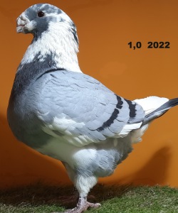 20241124_163118