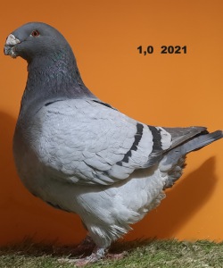 20241222_103409