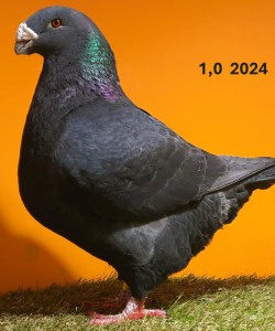 20241224_101316
