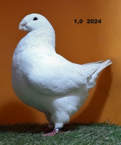 20241228_133128