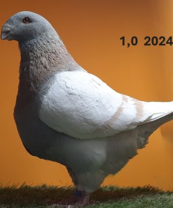 20250112_174332