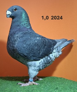 20251117_105148