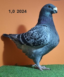 20251117_110639