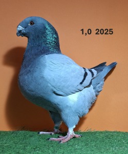 20251117_154700