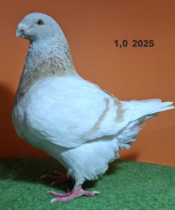 20251117_1602480