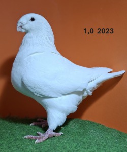 20251117_161852