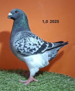 412