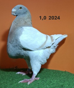 20251117_102041