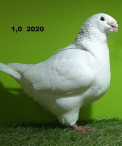 1_20240206_183048