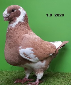 20221111_102932