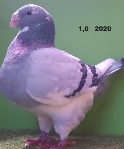 20221217_152445