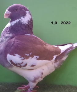 20221217_153207