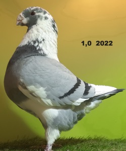 20231126_135114