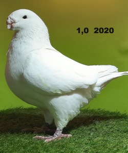 20231209_140846