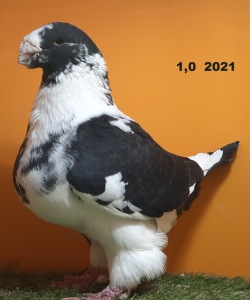 20241116_152043