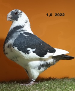 20241220_165327