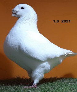 20241222_105643