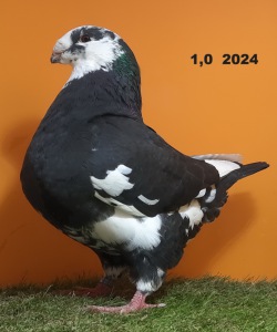 507