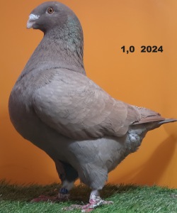 618