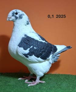 20251117_145358