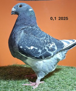 20260117_133926