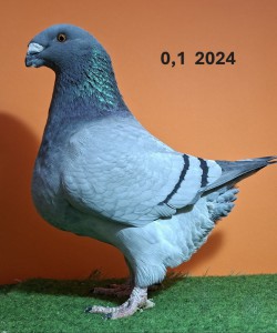 20251117_111041