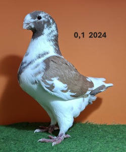 20251117_145636