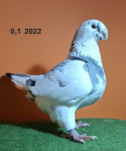 20251117_150504