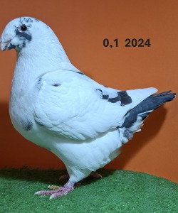 20251117_152742
