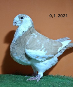 20251120_173612