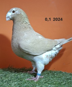 20251217_111032