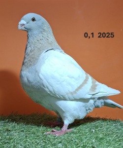 20251217_115908