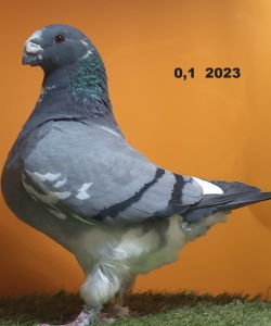 439