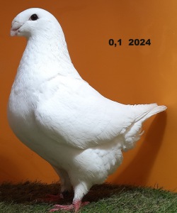 642