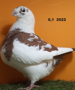 184
