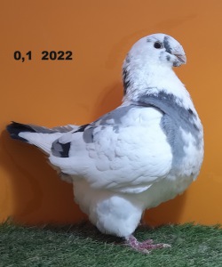 192