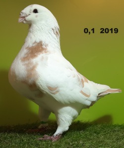 1_21