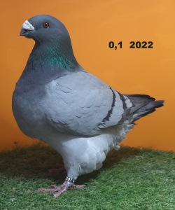 20241116_140023