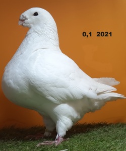 20241116_153808